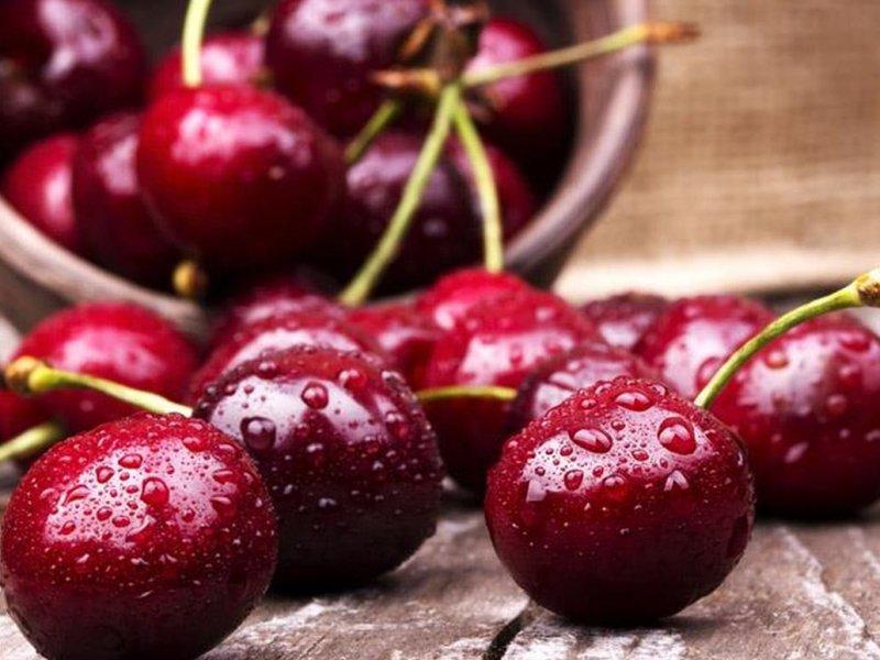 Вишня купить саженцы из питомника в Свободном